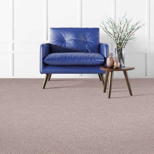 United Floors Inc providing easy stain-resistant pet friendly carpet in Middletown, DE Coastal Fashion I- Shoreline