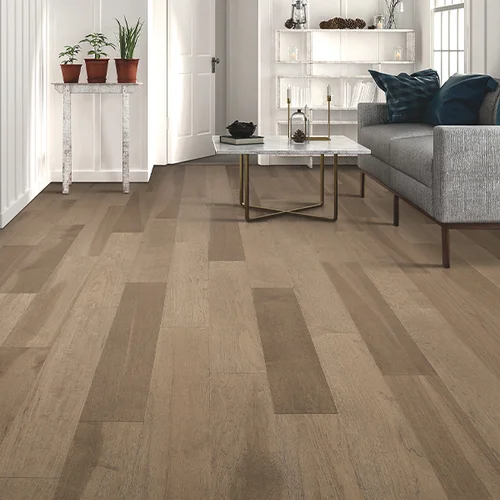 United Floors Inc providing pet friendly waterproof vinyl flooring in Middletown, DE