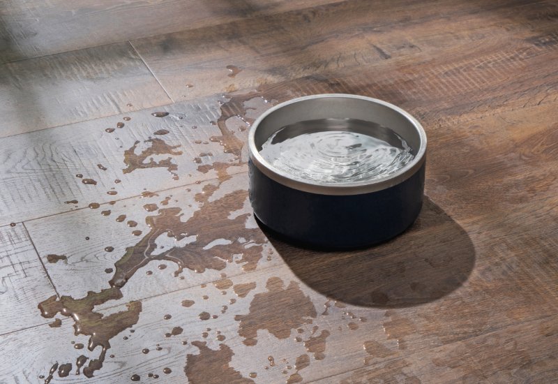 Pet&#x27;s water bowl spilled on a Waterproof Pergo floor